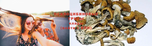 дурь Белокуриха