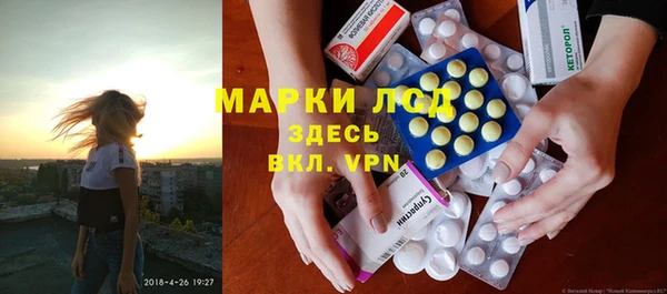 ГАЛЛЮЦИНОГЕННЫЕ ГРИБЫ Беломорск