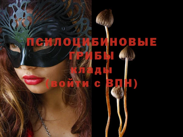 ГАЛЛЮЦИНОГЕННЫЕ ГРИБЫ Беломорск